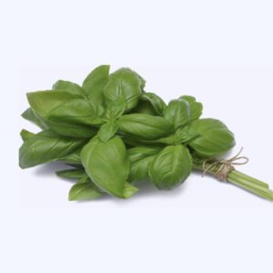 Albahaca X Atado