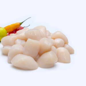 Kasani Conchas Limpias Sin Coral Grandes X Kilo