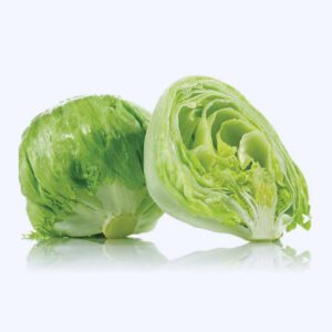 Lechuga Americana