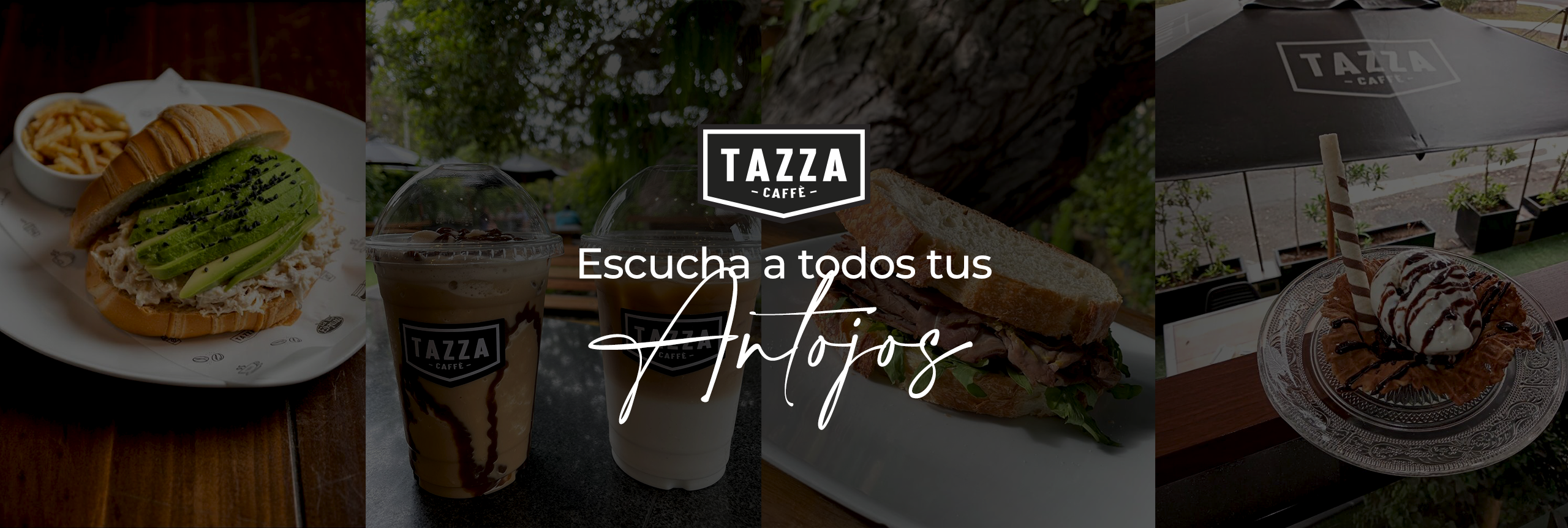 Tazza